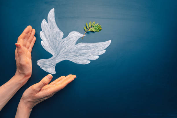 Dove of peace concept. Symbol of freedom and international day of peace. Hands let out chalk painted dove with olive branch stock photo