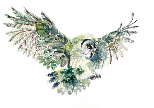 Green owl on white background, watercolor, forest, pine, leaves, flying bird, wild bird. Hand-drawn illustration