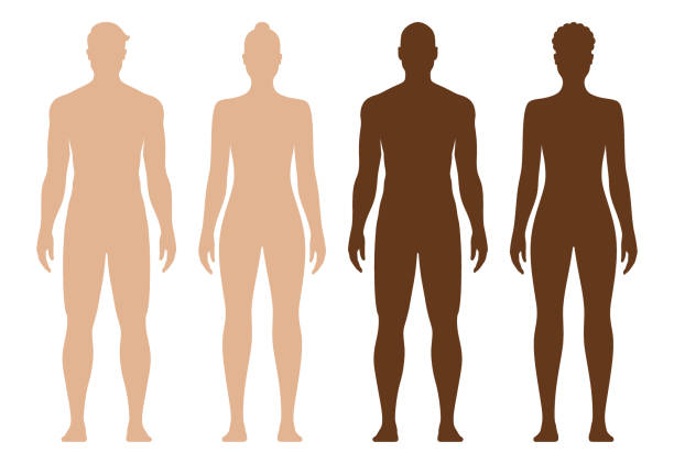 ilustrações de stock, clip art, desenhos animados e ícones de white and black male and female full body vector silhouette, isolated on background. - naked people women female