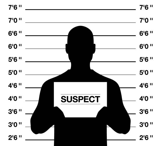 Anonymus suspect man standing on a criminal photo shooting background. Mugshot vector illustration Male suspect mugshot, vector illustration. Anonymus man standing on a criminal photo shooting background. suspicion photos stock illustrations