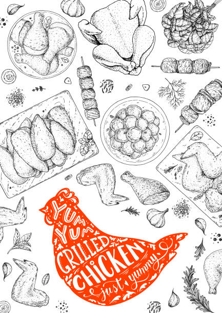 ilustrações de stock, clip art, desenhos animados e ícones de chicken meat. grilled and fried chicken. hand drawn sketch illustration. grilled chicken meat top view frame. vector illustration. engraved design. restaurant menu design template. - barbecue grill chicken barbecue chicken breast