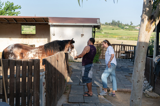 Happy couple playing with spotted horse in rural stable