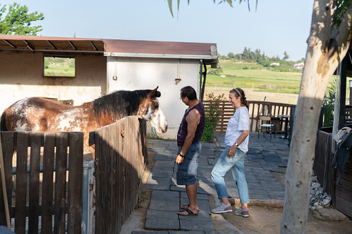 Happy couple playing with spotted horse in rural stable