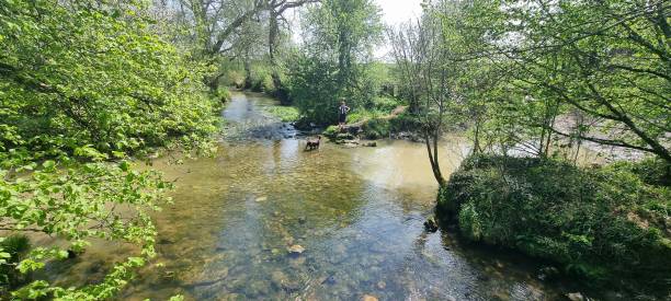 istock Countryside walks in Wiltshire 1394658460