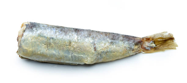 istock canned sardine in oil 1394660746