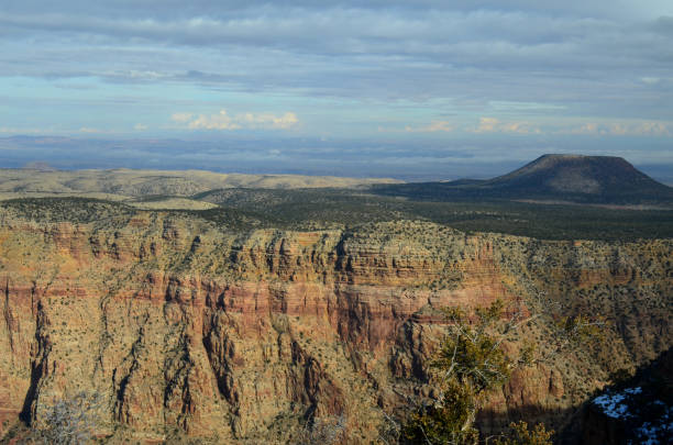 istock Green Scrub Covered Plateau in Grand Canyon 1394662407