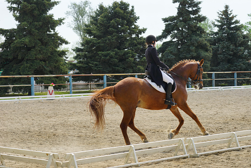 This horse and rider are navigating a stadium jump course at a 3-day event.The horse is a thoroughbred mare.