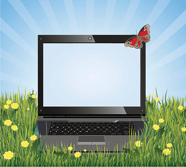 Laptop On The Grass With Place For Text Stock Illustration - Download Image  Now - Laptop, Summer, Computer Monitor - iStock