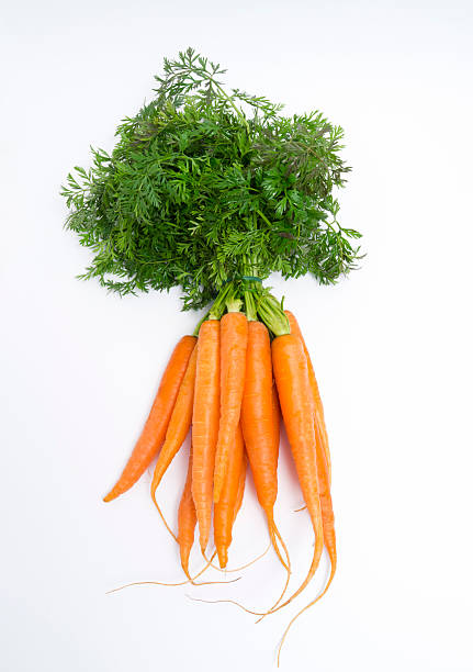 Vegetables: Carrots stock photo