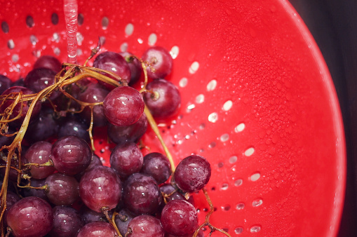 Fresh organic red grapes in a colander