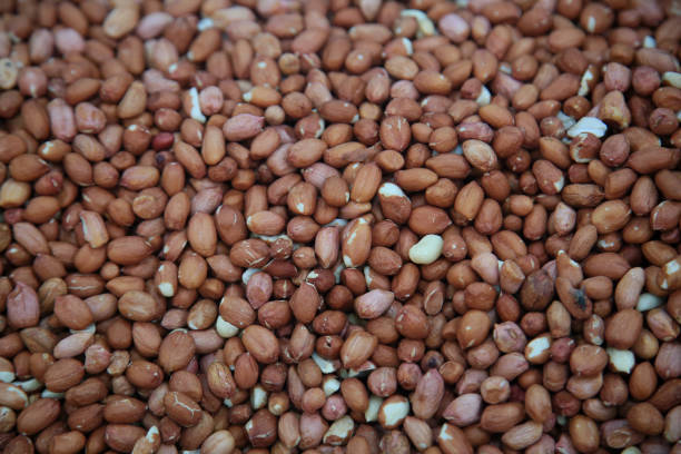 istock peanut with house for sale at fair 1394674144