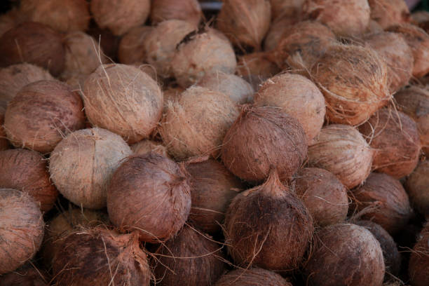 istock dry coconut for sale at fair 1394674145