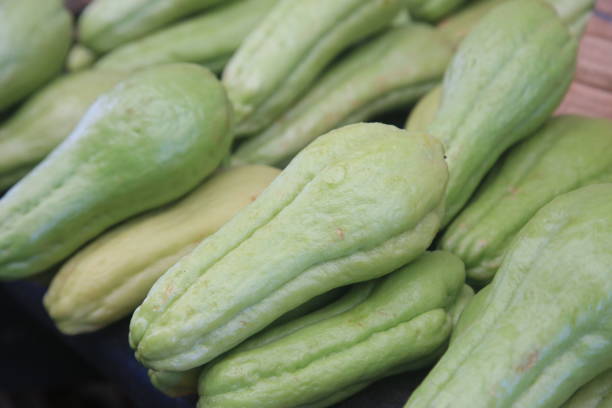 istock chayote for sale at fair 1394674150