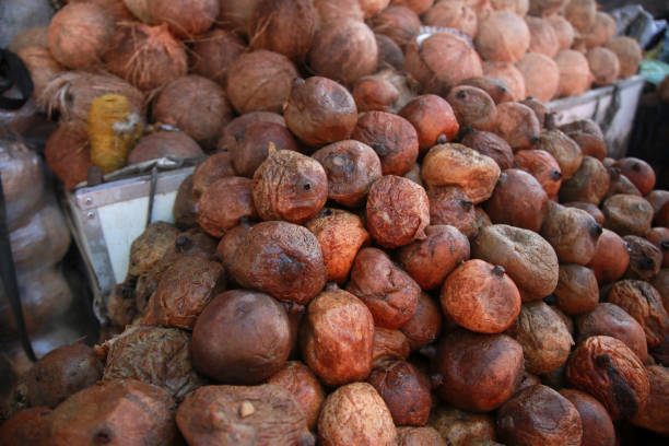 istock genipapo fruit for sale at fair 1394674171