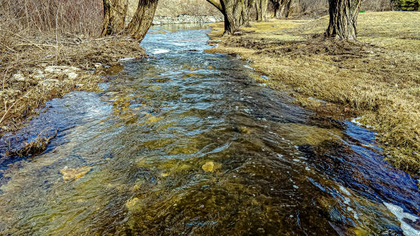 Snow has melted in the area causing this creek to fill up in rural wisconsin springtime