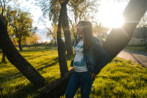 Beautiful pregnant woman in nature stands leaning against a tree and enjoys at sunset