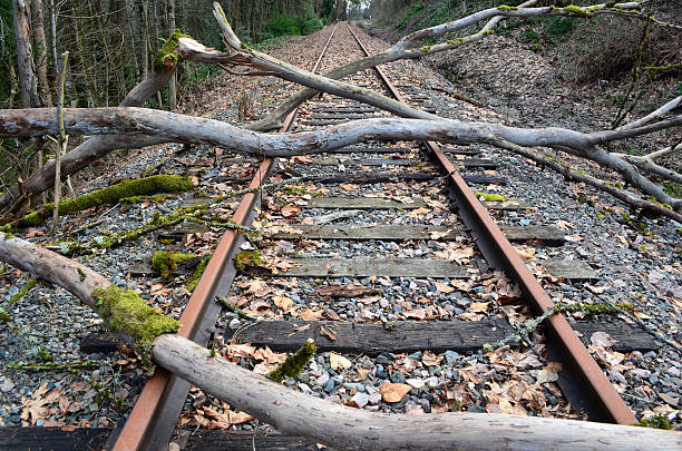 storm danos sobre trilhos do trem - árvore caída - fotografias e filmes do acervo