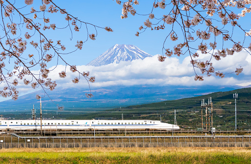 Japan - November 15, 2019 : High Speed Bullet Train Shinkansen run on the railway with Pink Sakura Branches and Fuji mountain Background in Spring, Shizuoka