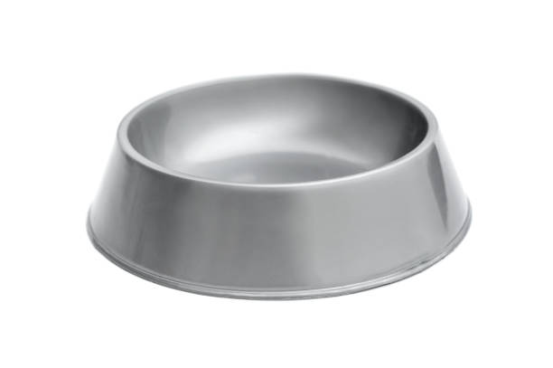 istock Empty plastic animal pet bowl isolated on white. 1394714845