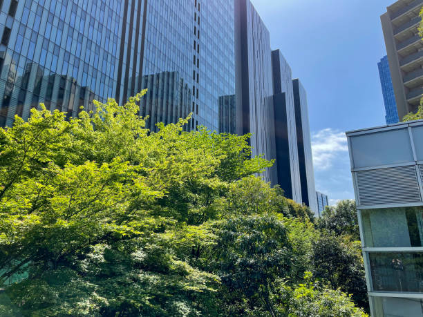 At Osaki of Tokyo, there is a big business district and green park with new and fresh leaves of woods