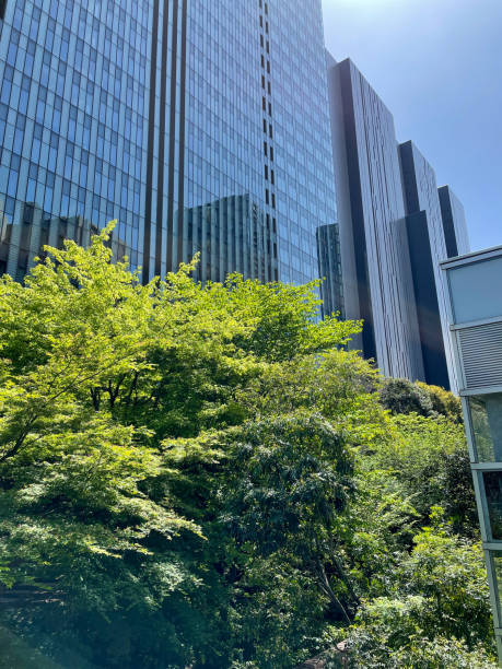 istock Skyscrapers and Spring Green woods in Tokyo 1394720077