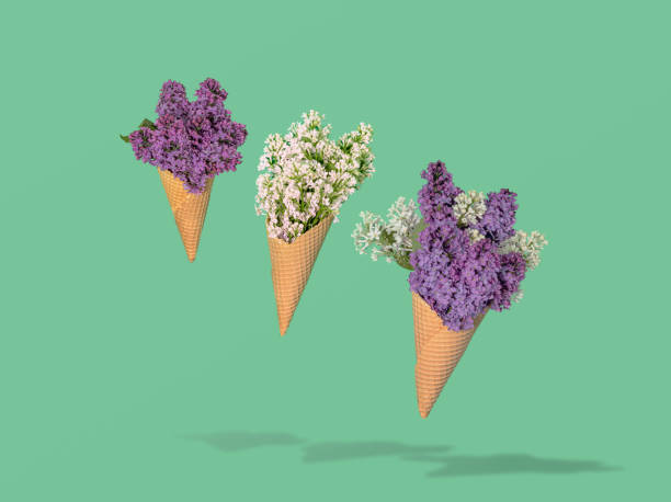 istock White and purple llilac in ice cream cones 1394723052