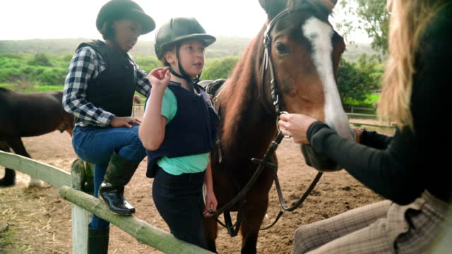 Girls petting horse in rural paddock learning horseback riding