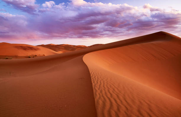 istock Beautiful Erg Chebbi, Morocco pictures 1394725666