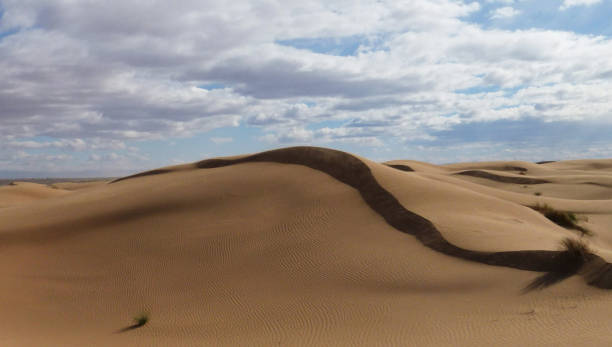 istock Beautiful Erg Chebbi, Morocco pictures 1394725718