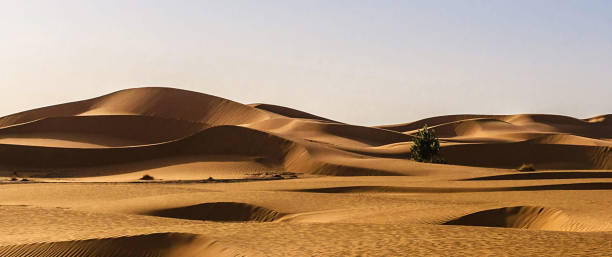 istock Beautiful Erg Chebbi, Morocco pictures 1394725726
