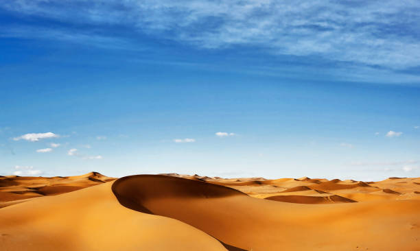 istock Beautiful Erg Chebbi, Morocco pictures 1394725734