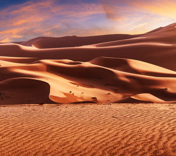 istock Beautiful Erg Chebbi, Morocco pictures 1394725750