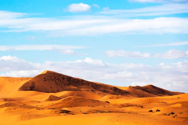 istock Beautiful Erg Chebbi, Morocco pictures 1394725770