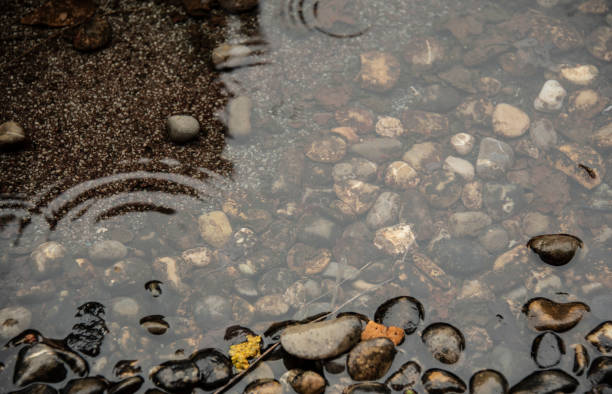 istock pebble stones in a puddle on a rainy day 1394728368