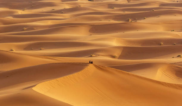 istock Beautiful Erg Chebbi, Morocco pictures 1394728422