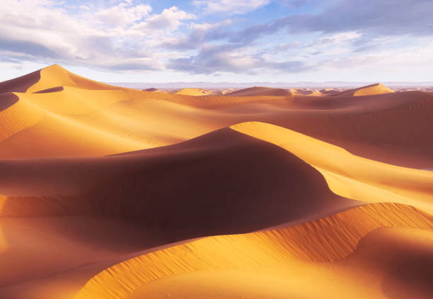 istock Beautiful Erg Chebbi, Morocco pictures 1394728491