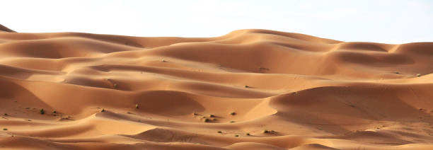 istock Beautiful Erg Chebbi, Morocco pictures 1394728496