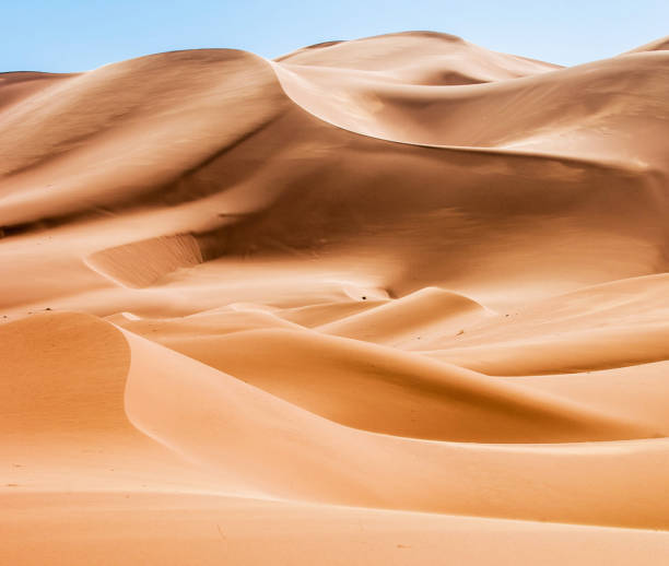 istock Beautiful Erg Chebbi, Morocco pictures 1394728497