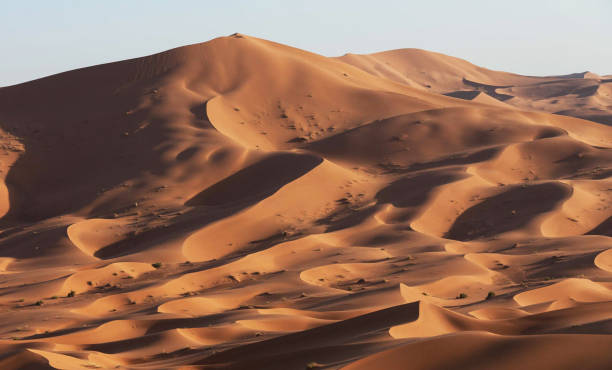 istock Beautiful Erg Chebbi, Morocco pictures 1394729042