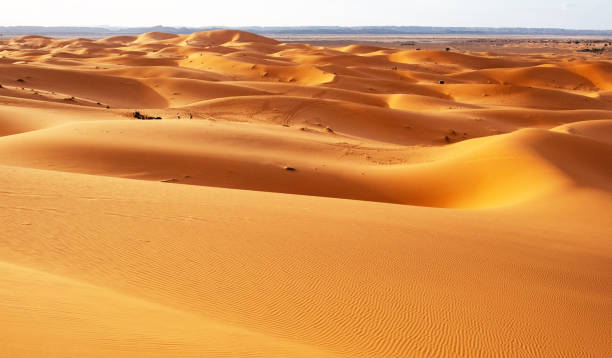 istock Beautiful Erg Chebbi, Morocco pictures 1394729053