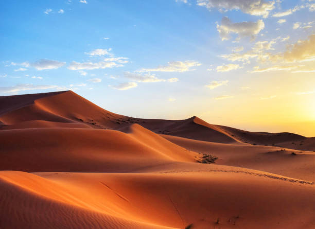 istock Beautiful Erg Chebbi, Morocco pictures 1394729107