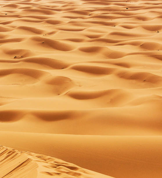 istock Beautiful Erg Chebbi, Morocco pictures 1394729147
