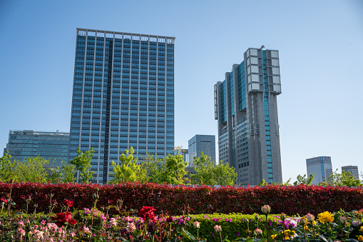 At the business district, east side of Shinagawa station are full of tall business offices buildings nicely designed together with trees and flowers which shows the model of SDGs and Environment Conservation as the model of Japan.