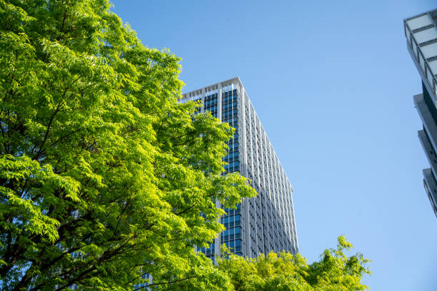 fresh green leaves and skyscrapers in tokyo city center - esg stockfoto's en -beelden