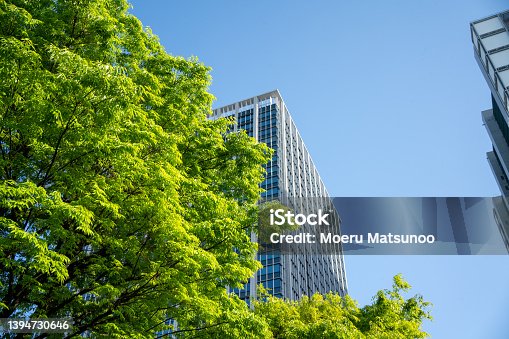 istock Fresh green leaves and skyscrapers in Tokyo city center 1394730646