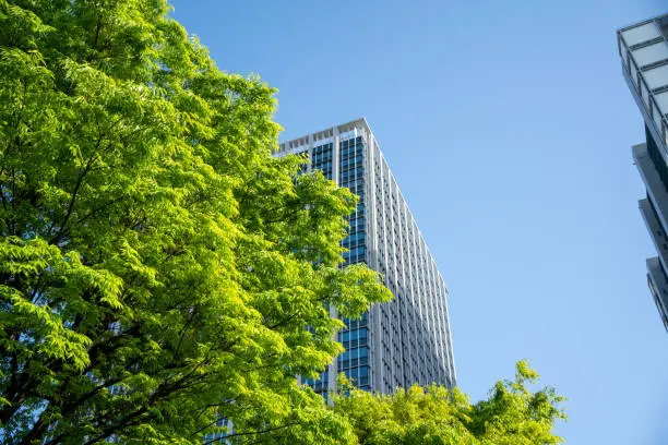 Photo of Fresh green leaves and skyscrapers in Tokyo city center