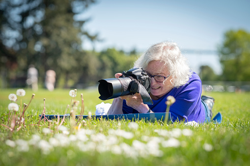 Senior woman in her 60s lying down on a mat while taking a closeup photo a flower with a DSLR camera in a public park.  Ambleside Park, West Vancouver, British Columbia, Canada.