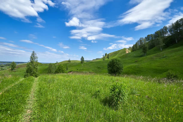 istock Classic rural landscape. Green field against blue sky with clouds. 1394735257
