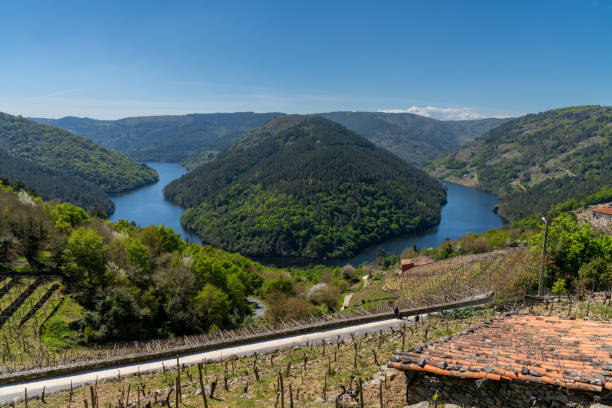 A view of the Minho River in Galicia with typical terraced vineyards