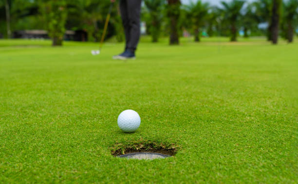 golfista, poniendo la pelota de golf en el campo de golf verde, destello de lente de sol tiempo conjunto de noche, pro golf largo poner la pelota de golf en el hoyo, tiempo de escena puesta de sol. - putting golf golfer golf swing fotografías e imágenes de stock